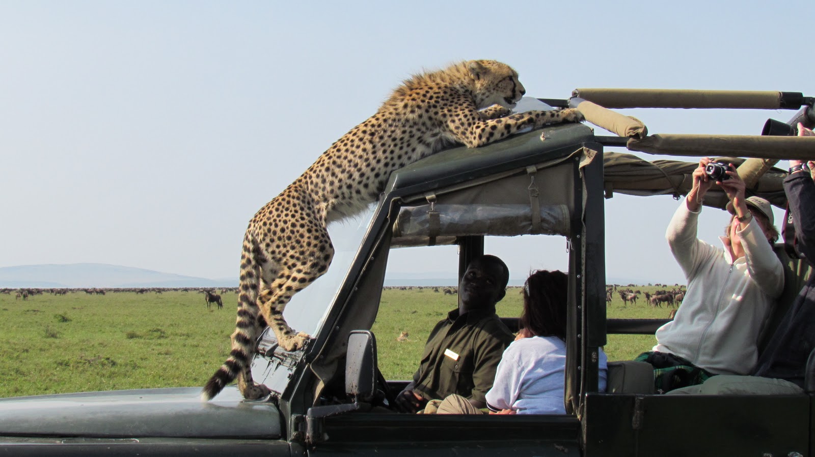 What is the Best Time to go for a Kenya Safari?