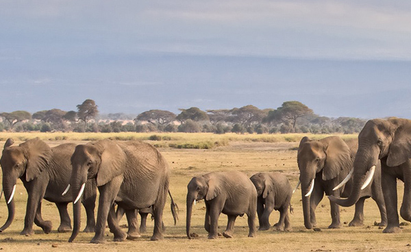 Attractions in Tarangire National Park