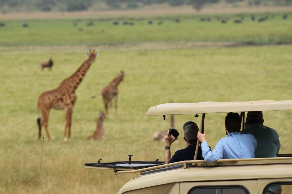 1 Day Akagera National park Safari