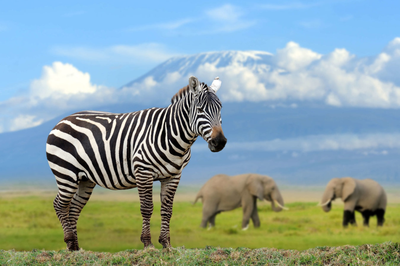 5 Days Nairobi & Amboseli National Park Safari