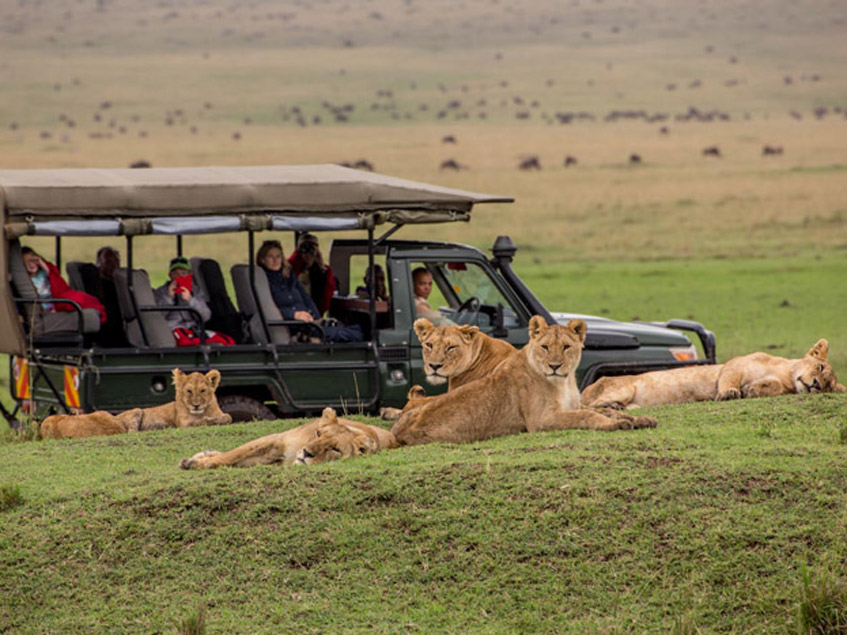 Maasai mara national reserve