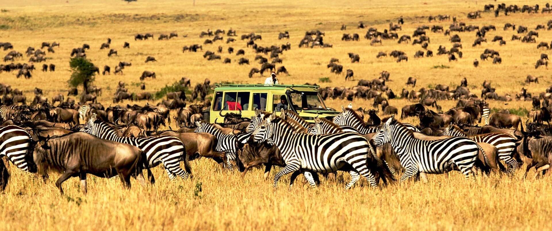 9 days Tanzania Safari 