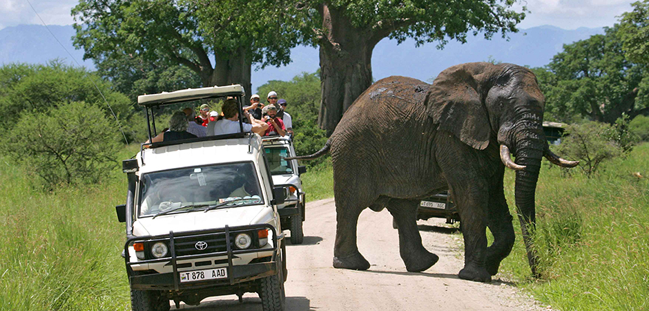 18 Days Uganda Safari Tour