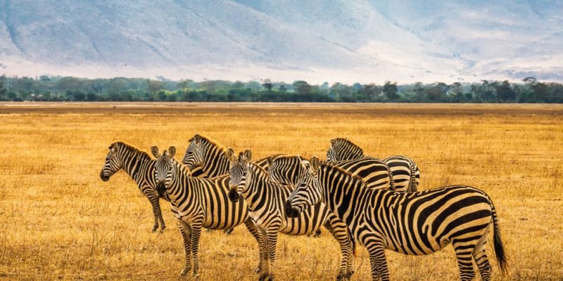 What Are The Unique Places To Visit In Tanzania?