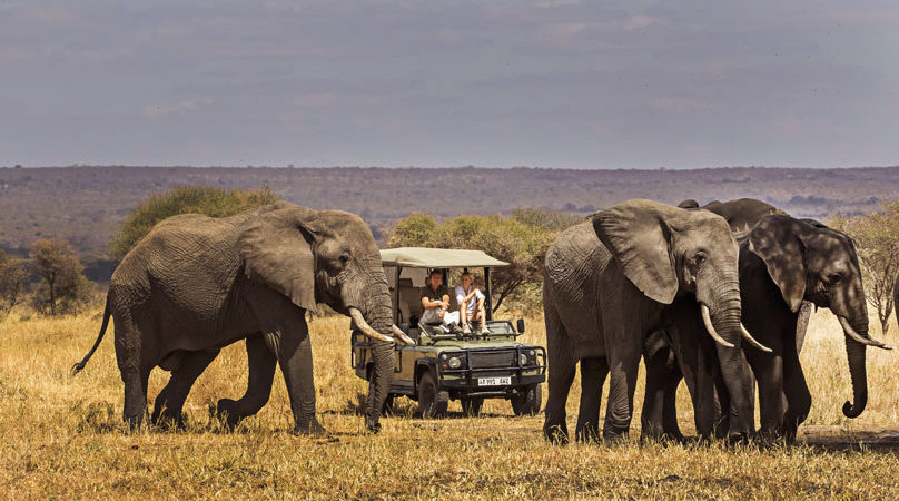 Attractions in Tarangire National Park