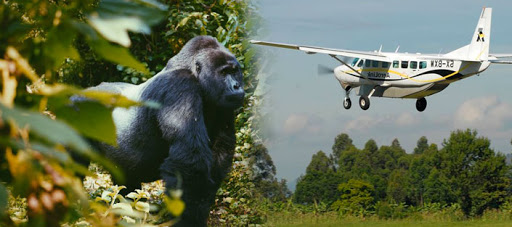 Domestic Flights in Uganda