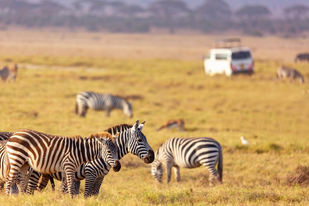 The best time to visit Kenya