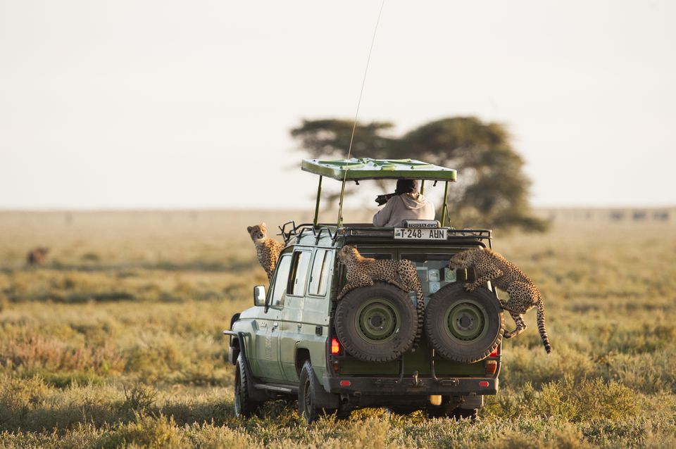 Best Time to visit Serengeti National Park
