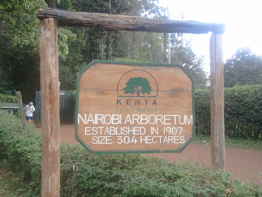 Picnic at Nairobi Arboretum