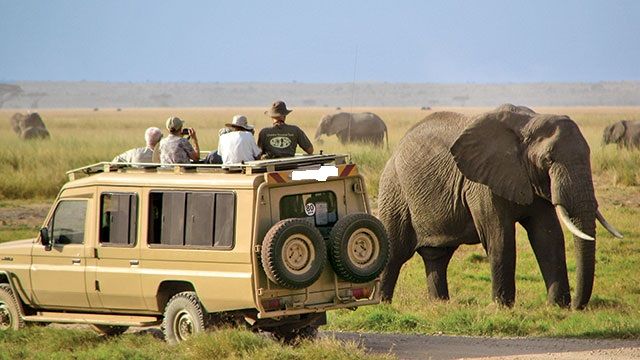 7 days Tanzania wildlife safari