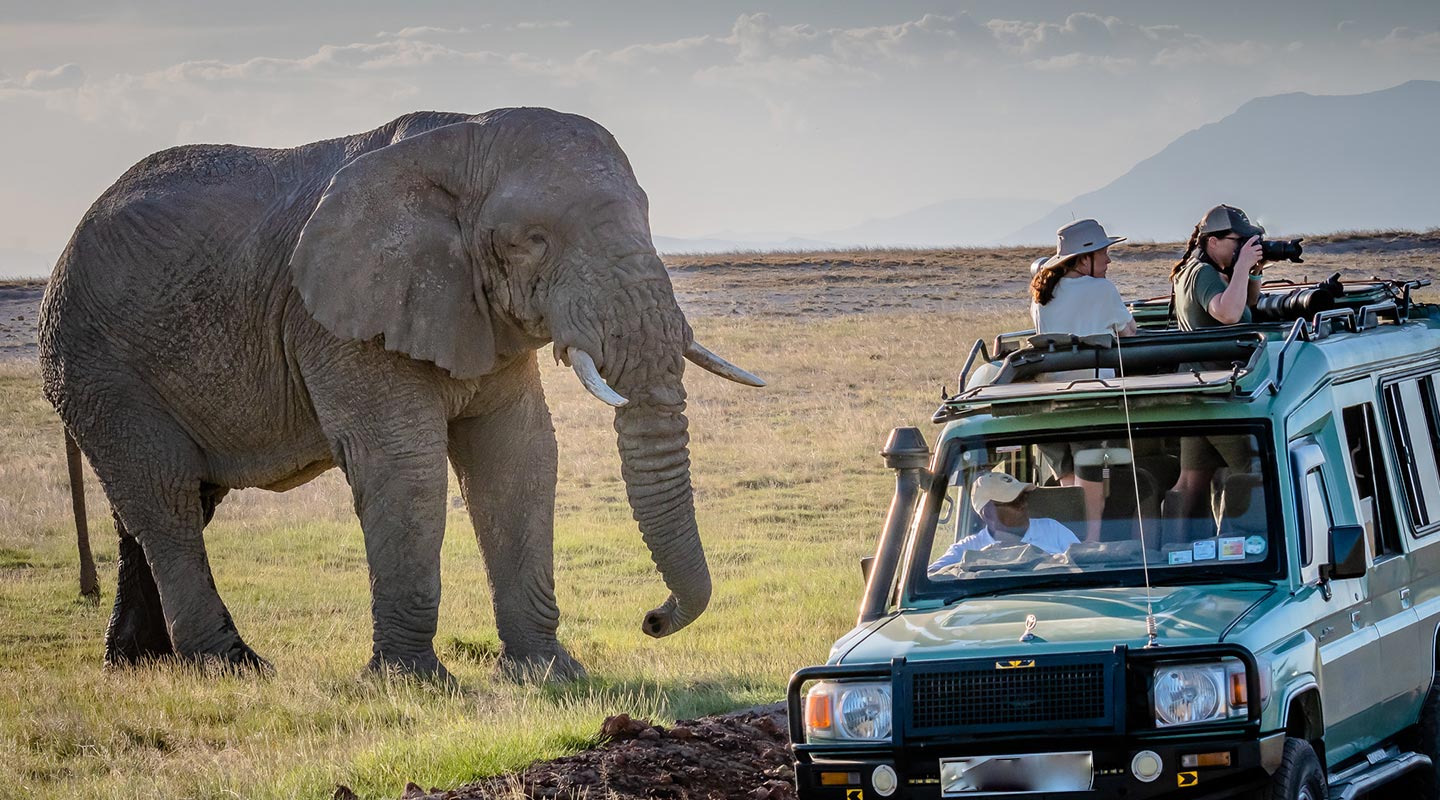 What Are Game Drives In Kenya?